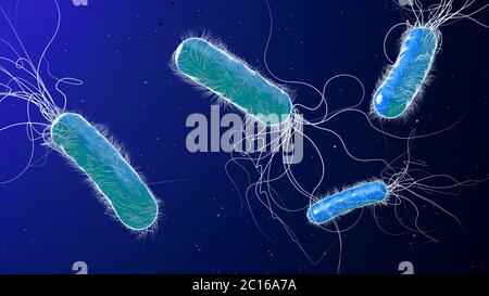 Blau gefärbt multiples Antibiotikum resistentes Pseudomonas aeruginosa Bakterium - 3d-Illustration Stockfoto