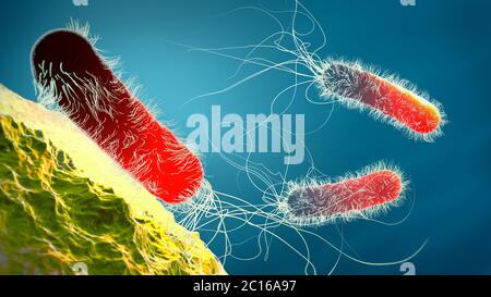 Rot gefärbte multiresistente Pseudomonas aeruginosa Bakterium - 3d-Illustration Stockfoto