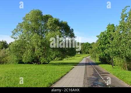 Fußgänger- und Radwege im Landschaftspark. Moskau, Russland Stockfoto