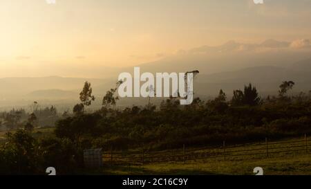 Panoramablick auf den Sonnenaufgang im ecuadorianischen Hochland mit den Bergen zwischen den Wolken und im Vordergrund eine Reihe von Bäumen Stockfoto