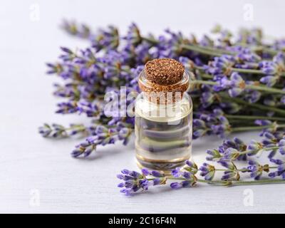 Nahaufnahme von ätherischem Lavendelöl in einer Glasflasche und frisch duftendem Lavendel auf einer weißen Holzoberfläche. Hausgemachtes Spa, Hautpflege und Kosmetik. Stockfoto