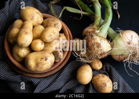 Rohe Kartoffeln und reife Zwiebeln, gesunde Landkost Zutaten Stockfoto