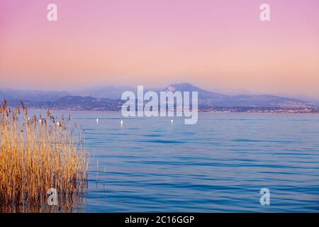 Am frühen Morgen, Sonnenaufgang über dem See. Sedge im See. Gardasee (Lago di Garda), Italien, Europa Stockfoto
