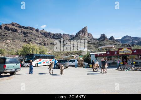 Oatman ist ein Dorf in den Black Mountains von Mohave County, Arizona, auf einer Höhe von 2,710 Fuß (830 m). Es begann als kleines Bergbaulager w Stockfoto