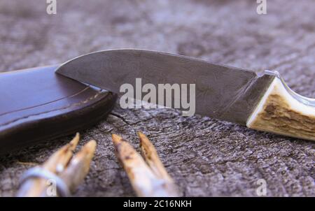 Camping damaskus Messer, Scheide und Sticks auf alten Holzbalken, in der Natur Stockfoto