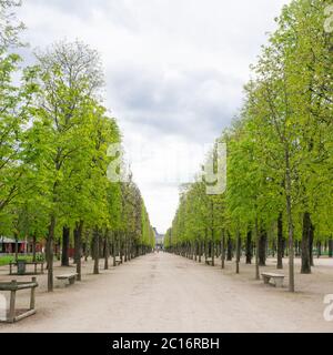 Der Tuilerien-Garten ist ein beliebter Ort für Touristen und Pariser. Tuileries ist ein öffentlicher Garten zwischen dem Louvre Museum A Stockfoto