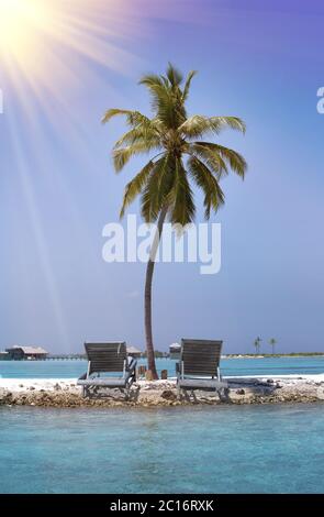 Einsame Palme auf der winzigen Insel im Meer. Malediven Stockfoto