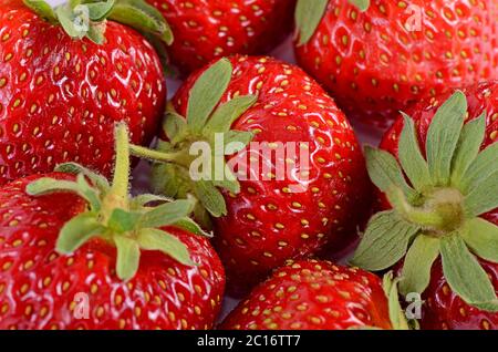 Der Hintergrund von frisch geernteten Erdbeeren Stockfoto