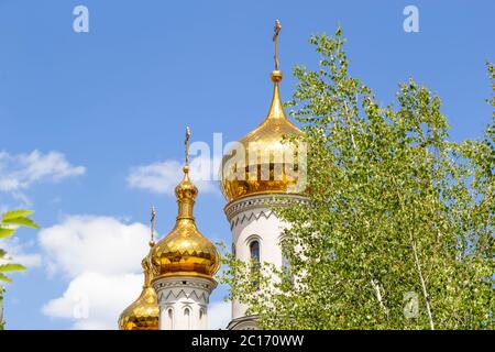 Goldene Kuppeln der orthodoxen Kirche gegen den blauen Himmel mit einem grünen Baum im Vordergrund Stockfoto