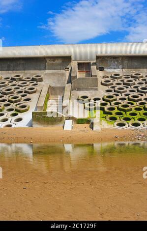 Versetzte Betontreppen hinunter zum Meer mit tetrapod Betonwellenbrechern zu beiden Seiten Stockfoto