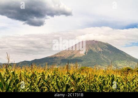 Blick auf einen Vulkan mit einem Zuckerrohrfeld an seiner Basis Stockfoto