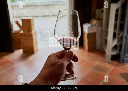 Ein Glas Bordeaux-Rotwein, das im Wein-Händler in Saint Emilion in Bordeaux Frankreich vor Tageslicht gehalten wird, um die Tränen oder Beine zu zeigen Stockfoto