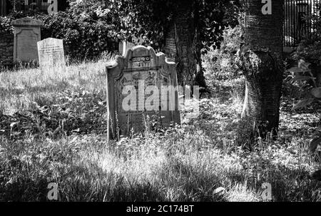 Monochromes (schwarz-weiß) Bild des überwucherten Friedhofs von St. Peter's Free Church, Perth Road, Dundee Stockfoto