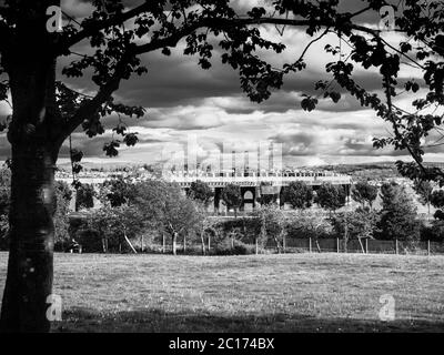 Monochrome Aufnahme der Tay Rail Bridge aus Magdalen Green, Dundee, Schottland, Großbritannien. Stockfoto