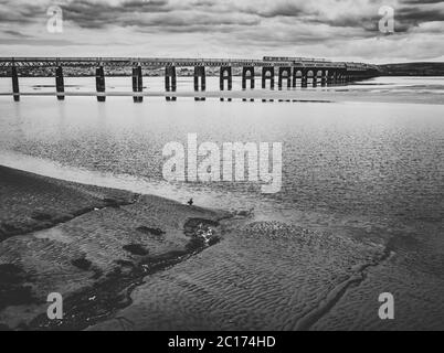 Monochrome Aufnahme von Tay und Rail Bridge bei Ebbe aus Dundee, Schottland, Großbritannien. Stockfoto