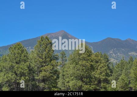 Der Blick auf den Berg Humphreys und seinen Agassiz-Gipfel. Einer der San Francisco Peaks im Arizona Pine Forest. In Der Nähe Von Flagstaff, Coconino County, Arizona Stockfoto