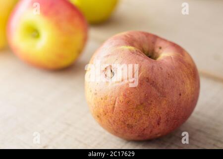 Äpfel verfaulen auf dem Boden. Stockfoto