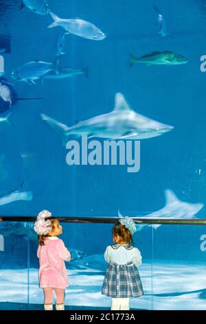 New Orleans Louisiana, Woldenberg River Waterfront Park, Audubon Aquarium of the Americas, Forschung, Naturschutz, Wasserleben, Golf von Mexiko Coast exhibi Stockfoto