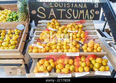 New Orleans Louisiana, French Quarter, French Market Inside Interior Selling, Verkäufer Stall Satsuma Mandarine Orangen Zitrusfrüchte Display Verkauf Stockfoto