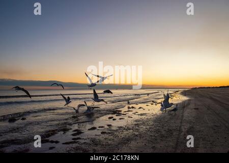 Bolivar Peninsula Strand bei Sonnenuntergang Stockfoto