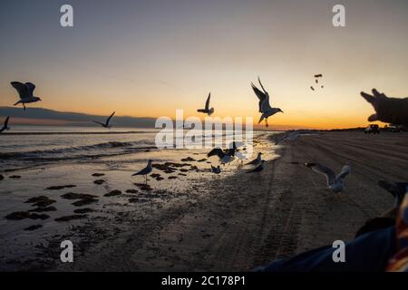 Bolivar Peninsula Strand bei Sonnenuntergang Stockfoto