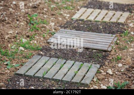 Holzsteg in Stadtgarten Stockfoto