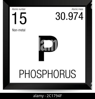 Phosphor-Symbol. Elementnummer 15 des Periodensystems der Elemente - Chemie - Schwarzer quadratischer Rahmen mit weißem Hintergrund Stock Vektor