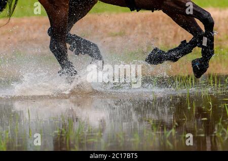 Raeford, North Carolina, USA. Juni 2020. 14. Juni 2020 - Raeford, North Carolina, USA - EIN Pferd spritzt durch ein Wasserhindernis im Langlauf bei der war Horse Event Series 2020, Juni 13 im Carolina Horse Park in Raeford, N.C. Dies war der erste Wettbewerb im Park seit der COVID-19 Pandemie. Die 2013 als Cabin Branch Event Series gegründete war Horse Event Series besteht aus fünf Pferdeversuchen und kombinierten Tests und zieht Reiter und ihre Pferde aus dem gesamten Osten der Vereinigten Staaten an. Quelle: Timothy L. Hale/ZUMA Wire/Alamy Live News Stockfoto