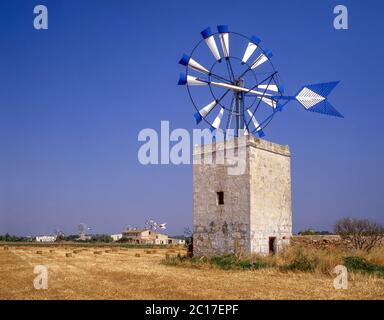 Windmühlen in Feldern in der Nähe von Palma de Mallorca, Palma Gemeinde, Mallorca (Mallorca), Balearen, Spanien Stockfoto