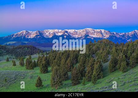 Licht vor der Morgendämmerung über den hundertjährigen Bergen in der Nähe von Lakeview, montana Stockfoto