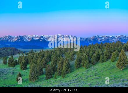 Licht vor der Morgendämmerung über den hundertjährigen Bergen in der Nähe von Lakeview, montana Stockfoto