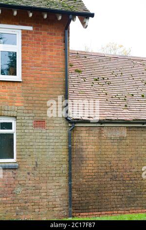 Wasserschäden, Feuchtigkeit und Flecken an einer Ziegelwand aufgrund von undichten beschädigten und überfließenden Dachrinnen und Abflussrohren, Großbritannien Stockfoto