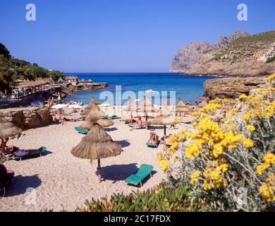 Cala San Vincente, Gemeinde Pollença, Mallorca, Mallorca, Balearen, Spanien Stockfoto