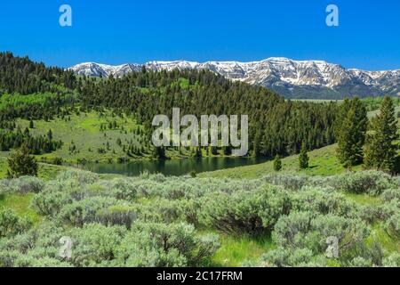 Elchsee unterhalb der hundertjährigen Berge im oberen roten Felsen Flussbecken in der Nähe von Seeview, montana Stockfoto