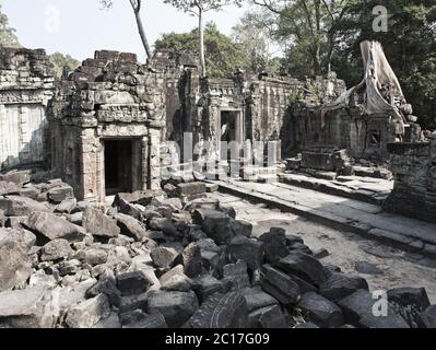 Preah Khan (es wird als ein heiliges Schwert übersetzt). Bäume und Ruinen des Tempels, Siem Reap, Kambodscha Stockfoto