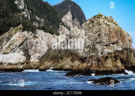 Küstenlandschaft mit Adler auf den Klippen, Kenai Fjords National Park, Alaska Stockfoto