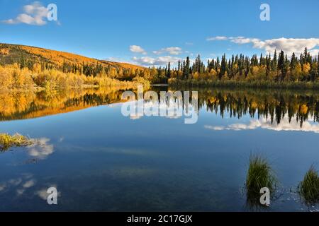 Panoramablick auf einen klaren See mit Reflexionen im Herbst, Chena River State Park, Alaska Stockfoto