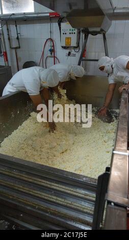 Zuleta, Imbabura / Ecuador - 9. November 2018: Arbeiter nehmen den Rohkäse aus dem Tank, um ihn in die Metallformen zu legen. Käseherstellung Stockfoto