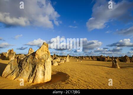 Bizarre Felsformationen die Pinnacles im späten Nachmittagslicht, Nambung Nationalpark, Western Austra Stockfoto