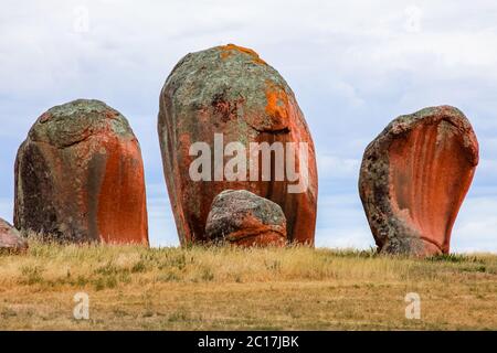 Einmalige Felsen Murphys Heuballen mit Flechten bedeckt, South Australia Stockfoto