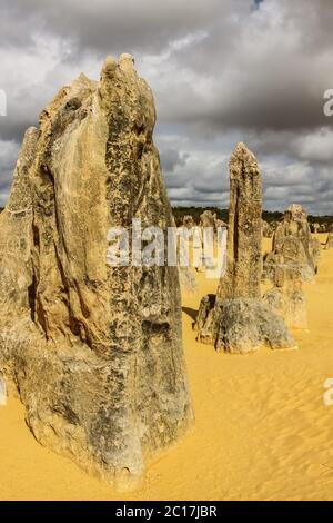 Bizarre Felsformationen die Pinnacles im späten Nachmittagslicht, Nambung Nationalpark, Western Austra Stockfoto