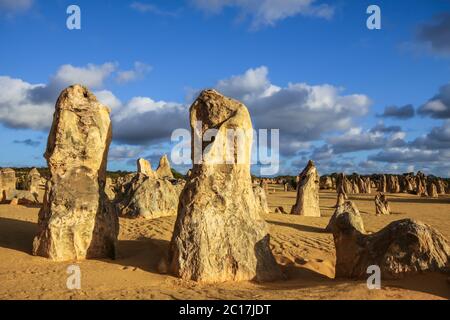 Bizarre Felsformationen die Pinnacles im späten Nachmittagslicht, Nambung Nationalpark, Western Austra Stockfoto