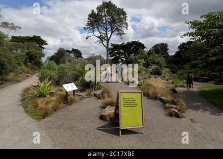 London, Großbritannien. Juni 2020. Am 14. Juni 2020 geht es durch den Rock Garden in Kew Gardens in London, Großbritannien. Die Kew Gardens, ein UNESCO-Weltkulturerbe in London, wurden kürzlich wieder eröffnet, nachdem sie wegen der COVID-19-Pandemie geschlossen wurden. Dennoch gibt es noch immer Richtlinien zur sozialen Distanzierung und die Anzahl der Besucher ist begrenzt, nur mit vorab gebuchten Tickets. Quelle: Tim Ireland/Xinhua/Alamy Live News Stockfoto