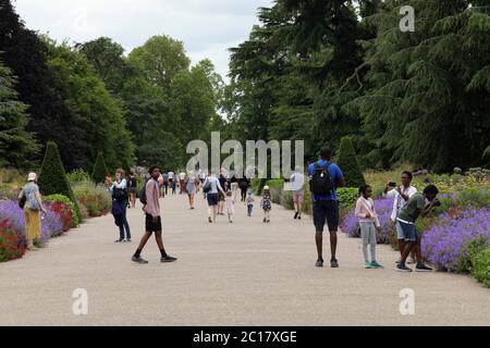 London, Großbritannien. Juni 2020. Am 14. Juni 2020 besuchen die Menschen Kew Gardens in London, Großbritannien. Die Kew Gardens, ein UNESCO-Weltkulturerbe in London, wurden kürzlich wieder eröffnet, nachdem sie wegen der COVID-19-Pandemie geschlossen wurden. Dennoch gibt es noch immer Richtlinien zur sozialen Distanzierung und die Anzahl der Besucher ist begrenzt, nur mit vorab gebuchten Tickets. Quelle: Tim Ireland/Xinhua/Alamy Live News Stockfoto