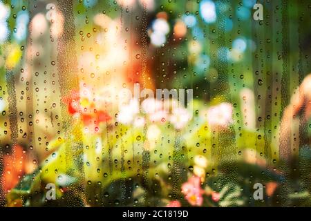 Wassertropfen und Blumengärten. Stockfoto