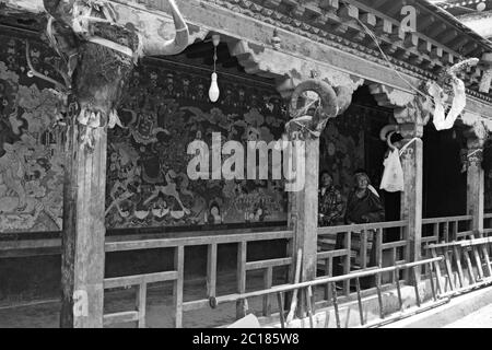 Grimmige Tierschädel flankieren den Korridor, der zu den Kapellen des Tsurphu-Klosters, Tibet, führt Stockfoto