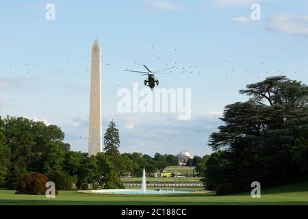 Washington, DC, USA. Juni 2020. Vögel fliegen als Marine One, mit US-Präsident Donald J. Trump an Bord, bereitet sich auf den South Lawn des Weißen Hauses in Washington, DC, USA, am Sonntag, 14. Juni 2020 zu landen. Trump twitterte, dass er nicht die NFL oder die US-Fußballföderation beobachten, wenn eine der Organisationen erlaubt, Spieler zu knien während des Spiels der American National Anthem. Quelle: Stefani Reynolds/Pool via CNP, weltweite Nutzung Quelle: dpa/Alamy Live News Stockfoto