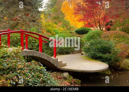 WA16752-00...WASHINGTON - Herbstfarbe um die Moon Bridge im Kubota Garden City Park in Seattle. Stockfoto