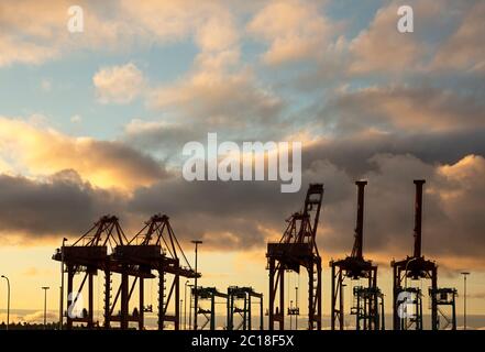 WA16773-00....WASHINGTON - Linie von Kränen im Hafen von Seattle zum Entladen von Containern von Schiffen. 2019 Stockfoto