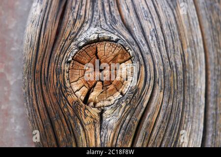 Hohe Auflösung Holzstruktur Holz grau braun schwarz weiß Linien Zweig Stockfoto